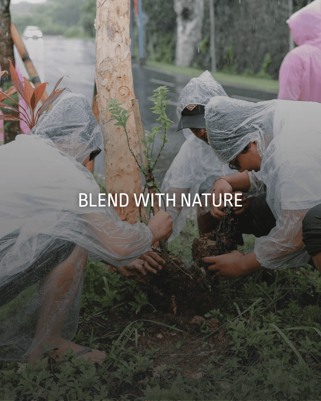 Blend With Nature