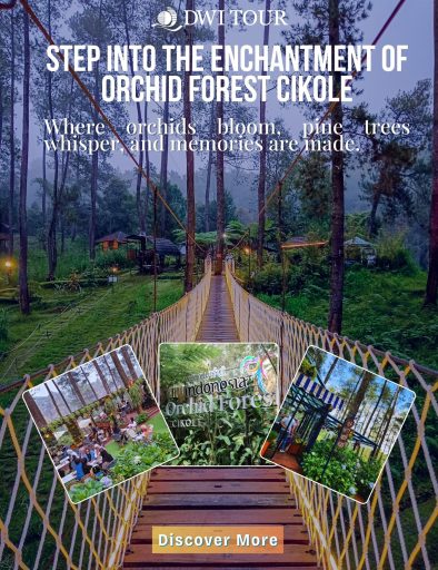 Orchid Forest Cikole: A Nature Escape in Lembang, Bandung
