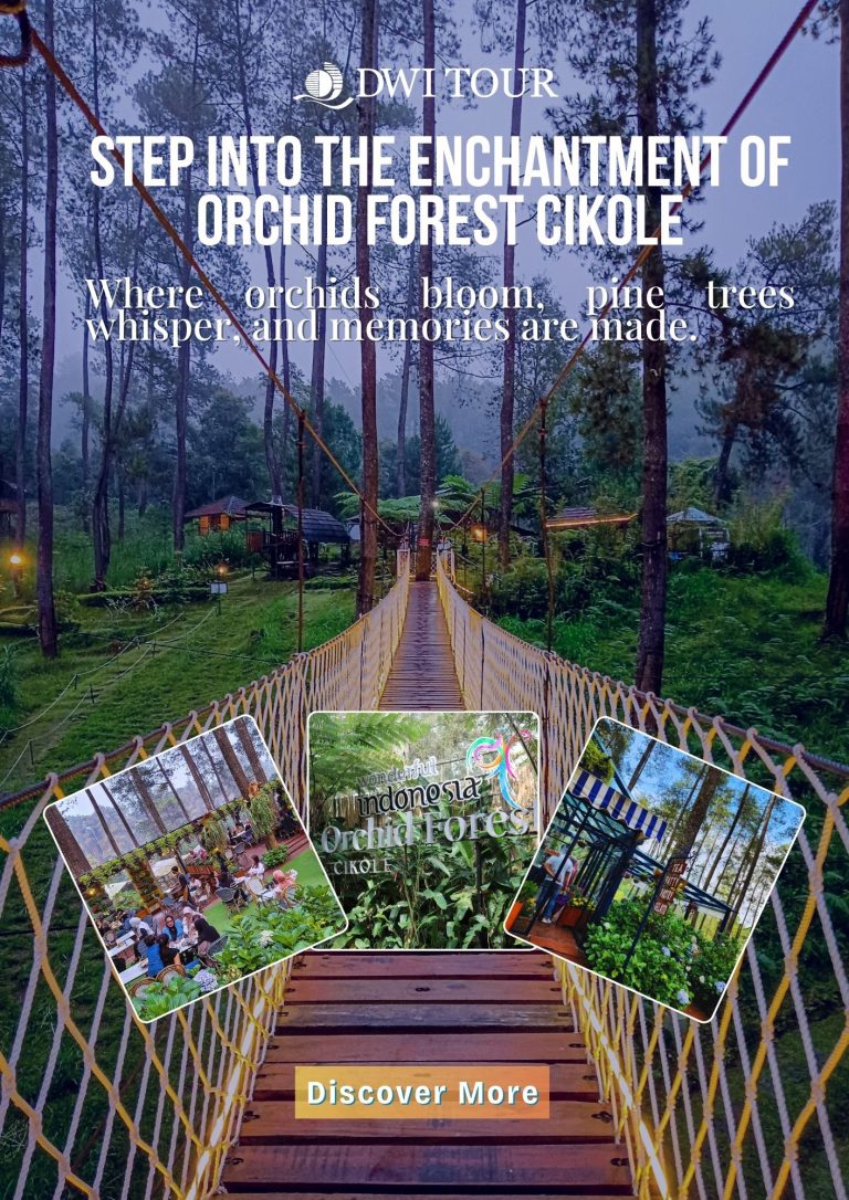 Orchid Forest Cikole: A Nature Escape in Lembang, Bandung
