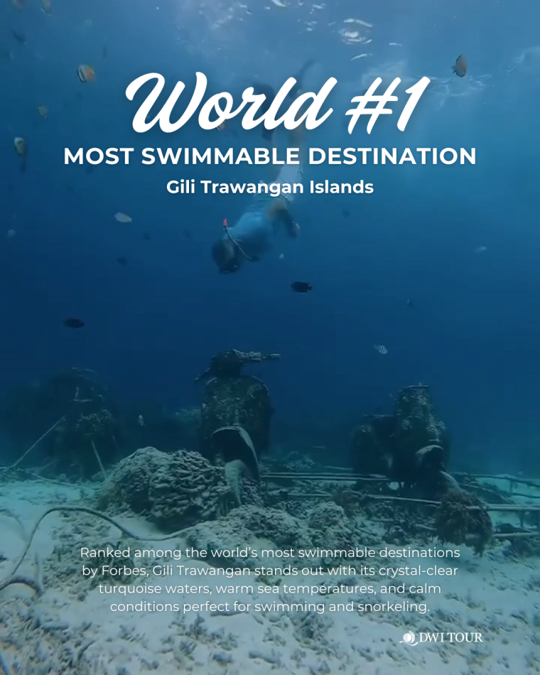 Gili Trawangan Ranked Among the World’s Most Swimmable Destinations