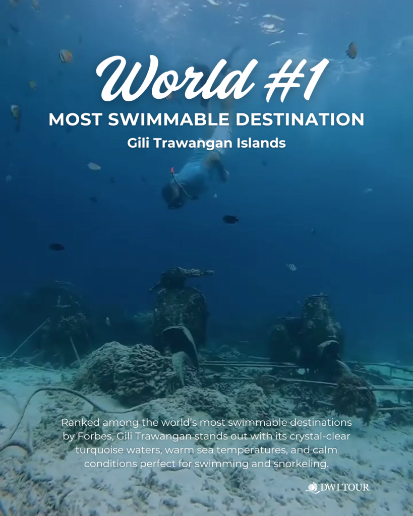 Gili Trawangan Ranked Among the World’s Most Swimmable Destinations