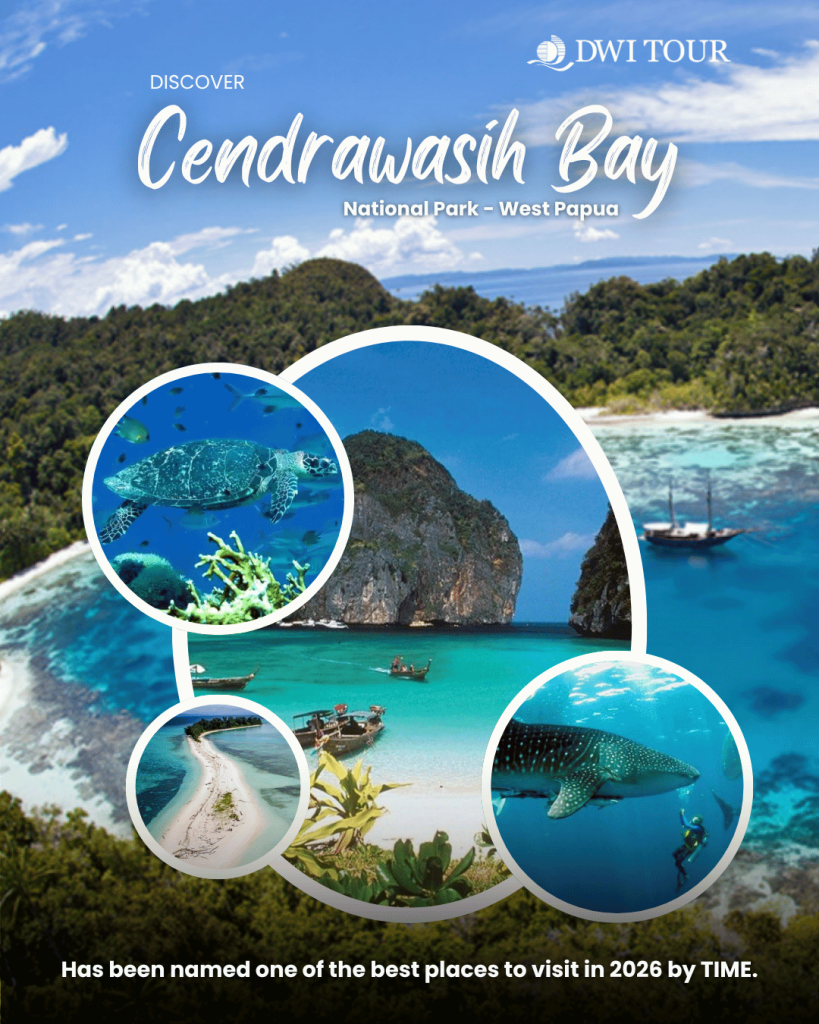 Teluk Cendrawasih Bay