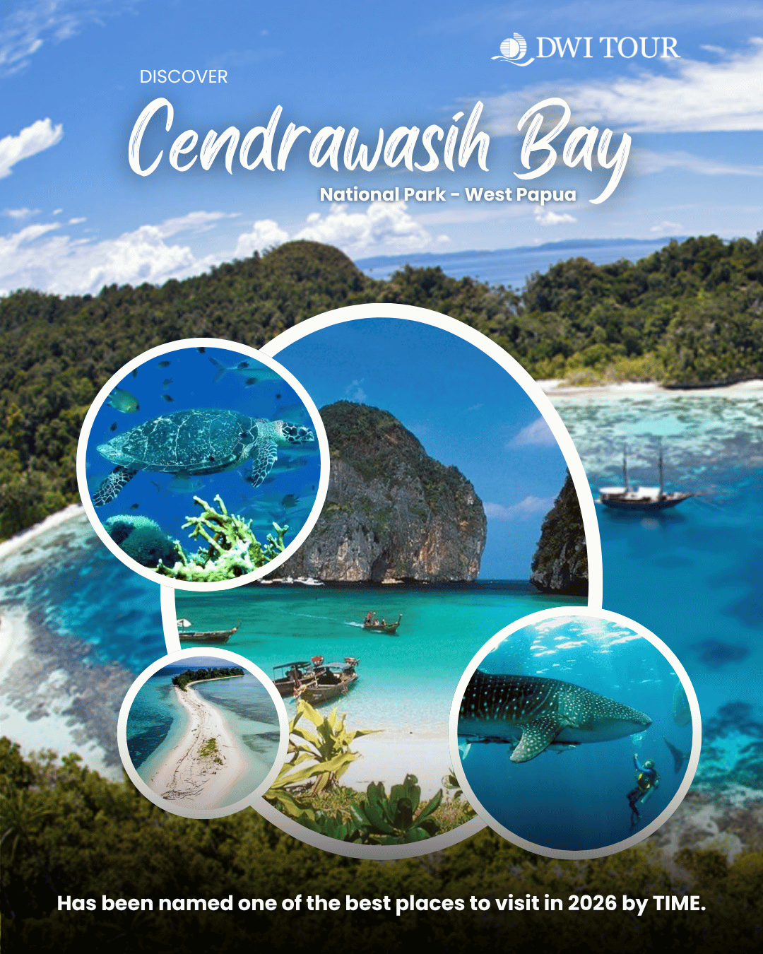 Teluk Cendrawasih Bay